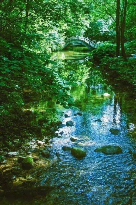 里程碑!王哲林22分10板,生涯总篮板数超哈达迪升至历史第六
