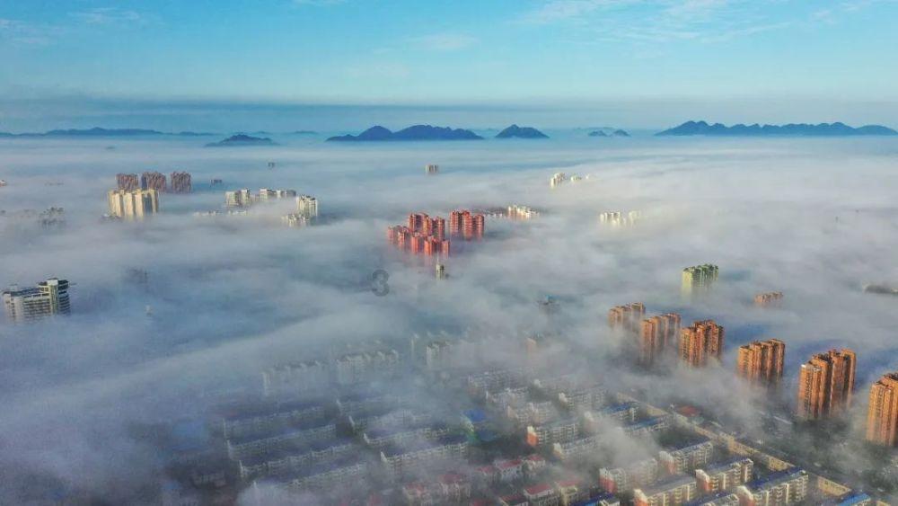 江西检察机关依法对张东向涉嫌受贿、洗钱案提起公诉