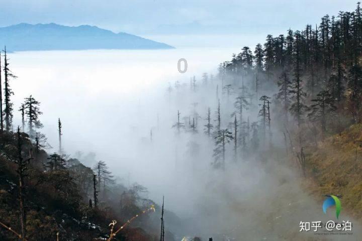 逃出海滩度假胜地