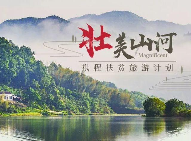 “顶流”葛兰调仓！千字最新研判出炉
