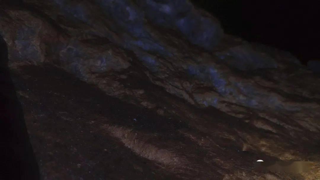 逃离普通的房屋